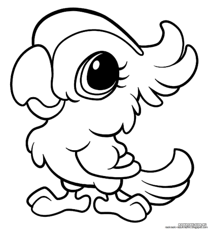 Раскраска попугай