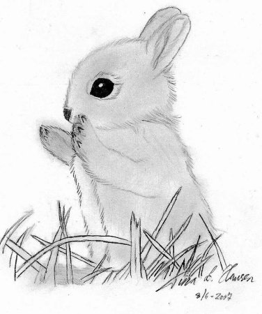 Рисунок зайца для срисовки