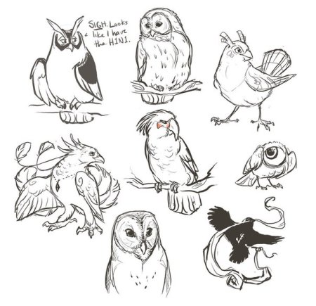 Сова скетч