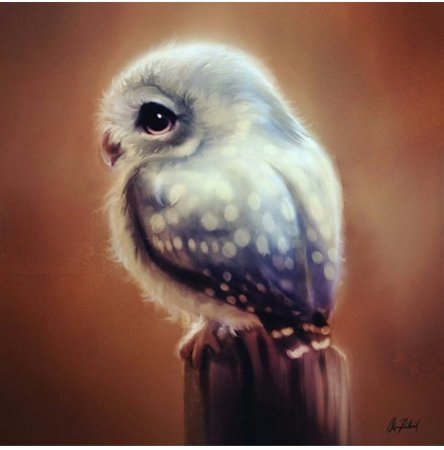 Няшные Совята