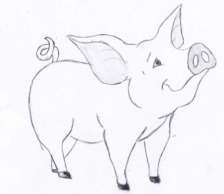 Легкий набросок волка