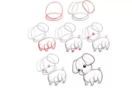 Пошаговый рисунок собаки