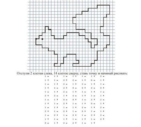 Графический диктант белка по клеточкам для дошкольников