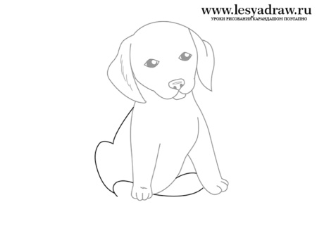 Рисунок маленькой собаки карандашом