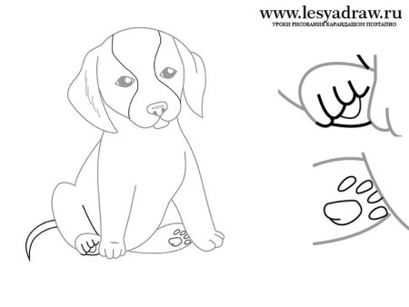 Рисование сидящей собаки породы доберман в профиль