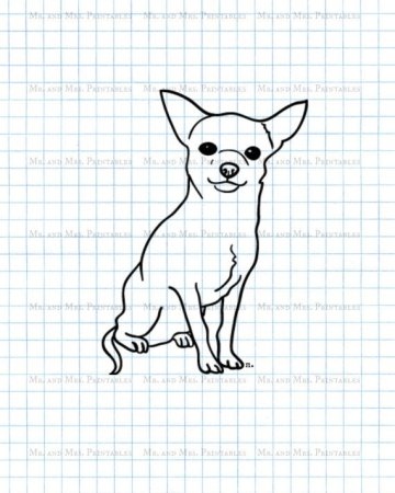 Раскраска чиа Хуа Хуа