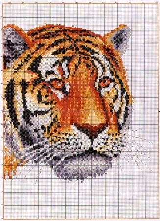 Тигр вышивка крестом схема
