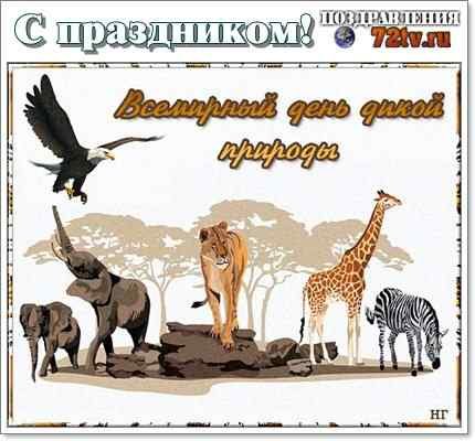 День дикой природы 22 февраля