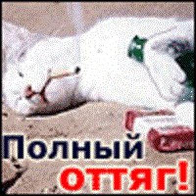 День оттяга картинки прикольные