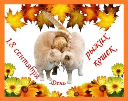 День рыжего кота 18 сентября