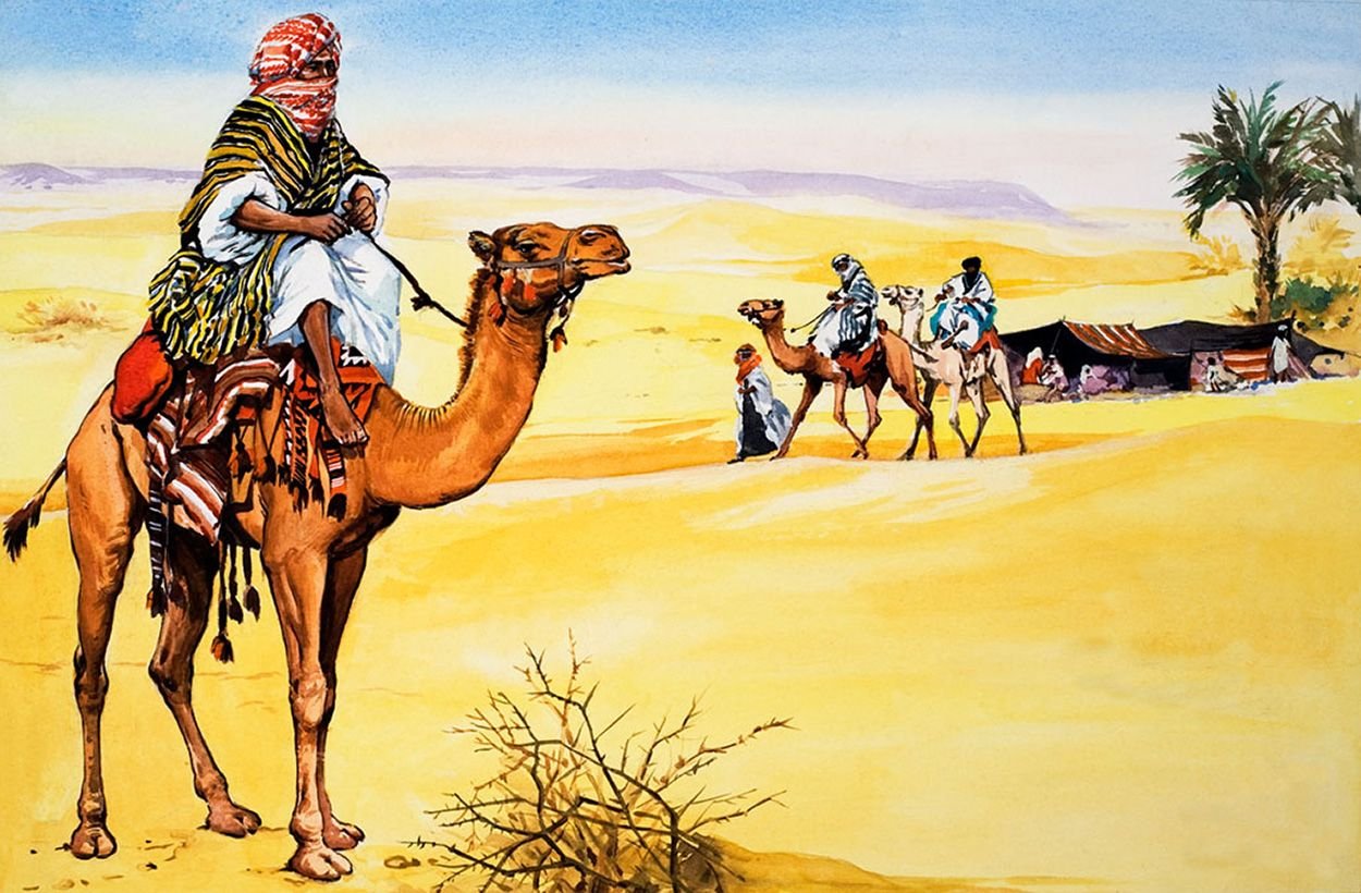 Ноги караван. Бедуин на верблюде. Арабские кочевники. Верблюд в пустыне. Бедуин с верблюдом в пустыне.
