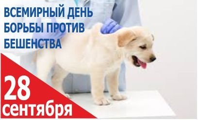 28 Сентября день борьбы с бешенством