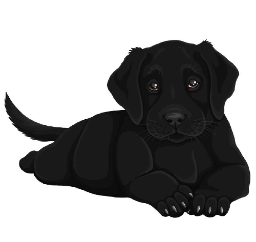 Рисунки черных собак