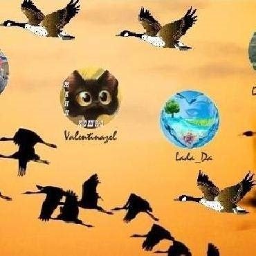 Рисунки для срисовки на праздник День напутствий улетающим птицам (48 фото)