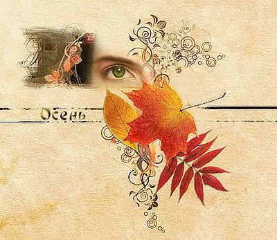 День вдыхания осеннего воздуха 11 октября