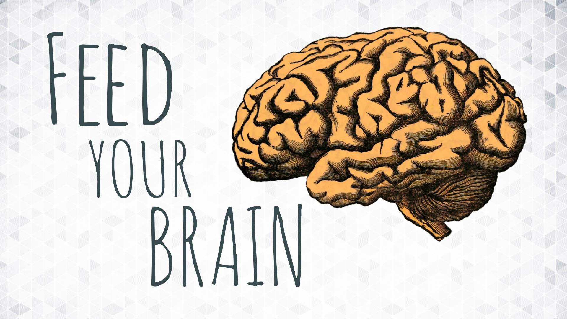 Only brains. Изображение мозга. Мозг рисунок.