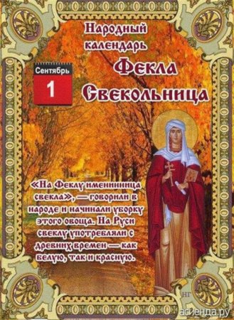 Народный календарь 1 сентября Фекла Свекольница