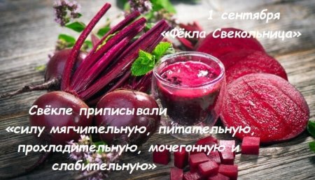 Фекла Свекольница 1 сентября
