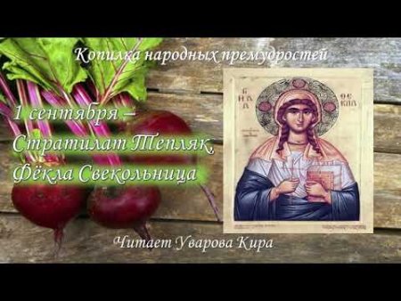 Фёкла Свекольница (Стратилат тепляк)