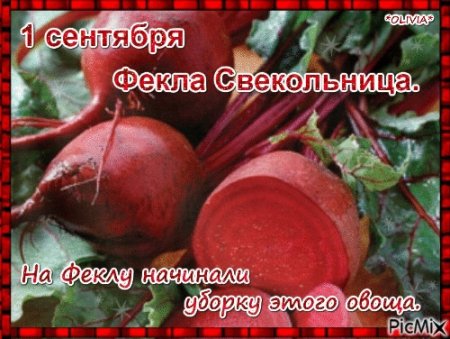 Фекла-Свекольница (Андрей-тепляк)