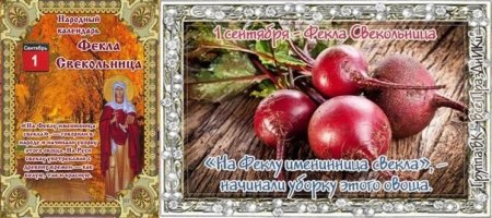 1 Сентября Фекла-Свекольница (Андрей-тепляк)