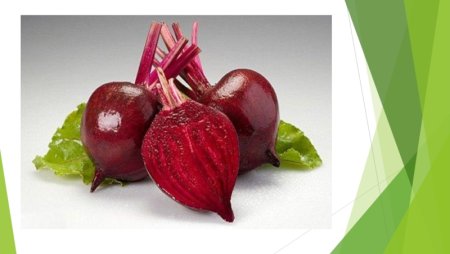 Фекла Свекольница 1 сентября