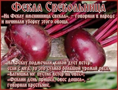 Фекла Свекольница древняя Русь