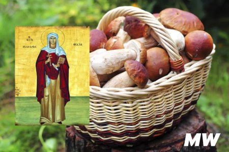 Фекла Заревница 7 октября