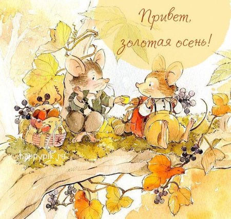 Милые иллюстрации