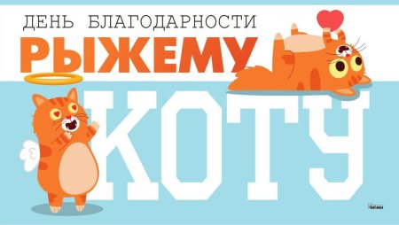 Три кота 1 сентября