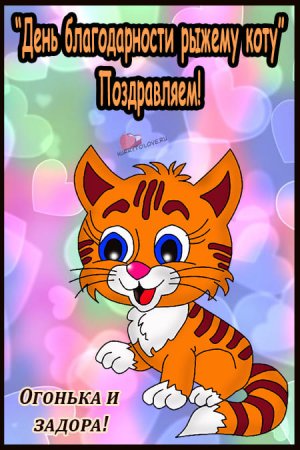 День рыжих котов