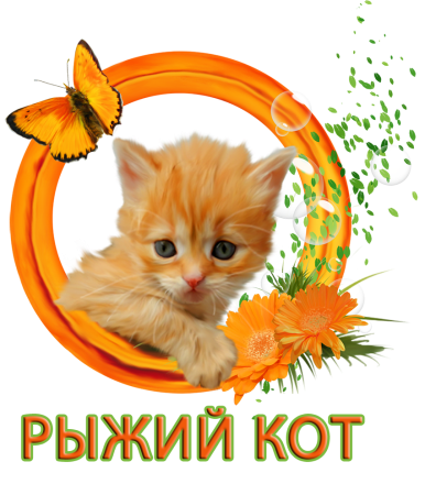 Рыжий котенок открытка