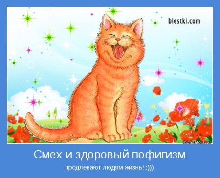 С днём рождения рыжая кошка