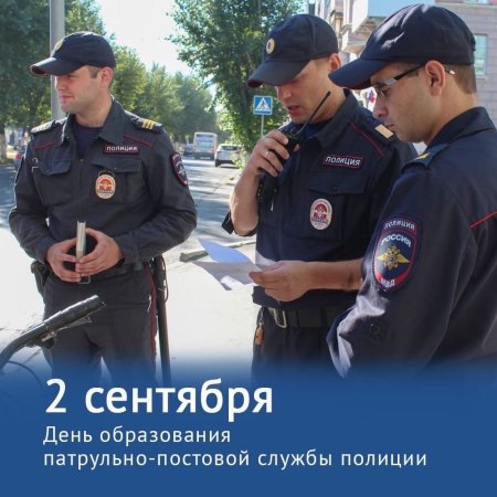 День патрульно-постовой службы