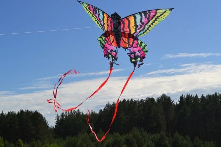 Воздушный змей bb0496