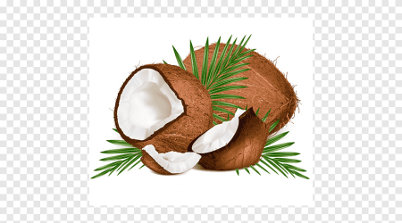 Кокос листья вода