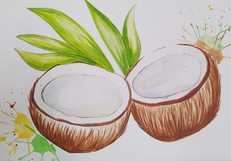 Кокос Графика