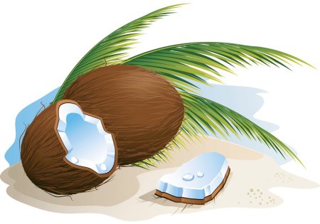 Кокос графично