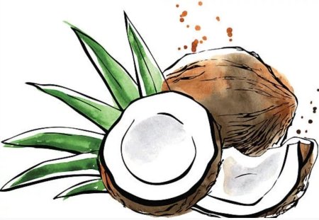 Кокос карандашом