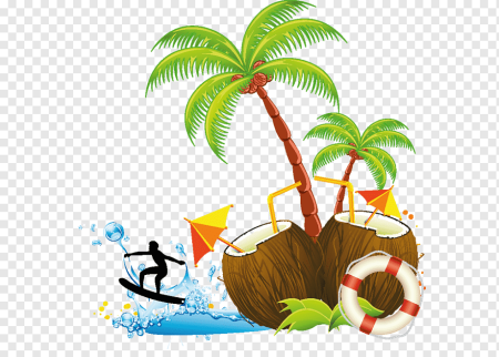 Море пальмы на прозрачном фоне