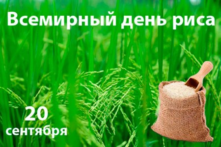 Всемирный день риса