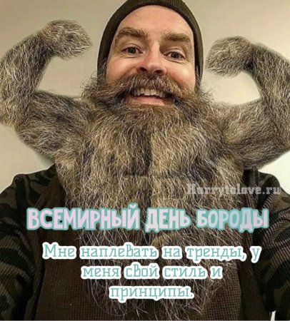 Злой бородатый