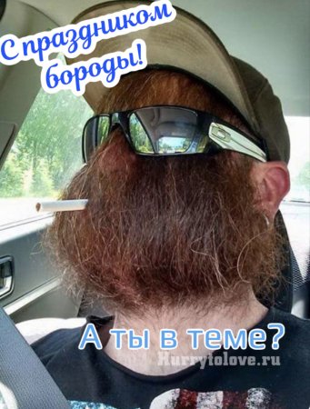 Бородатый прикол