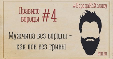 День бороды поздравления