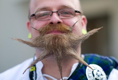 Всемирный день бородачей