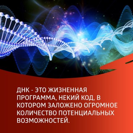 День открытия уникальности ДНК