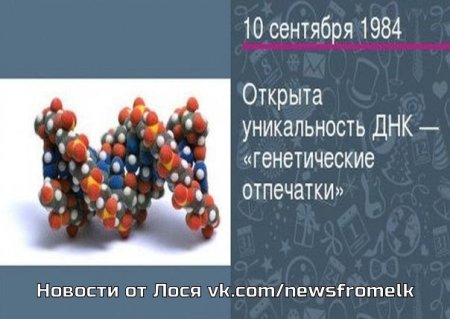 10 Сентября 1984 открыта уникальность ДНК