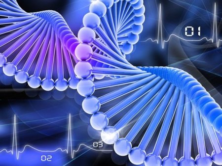 Программирование ДНК