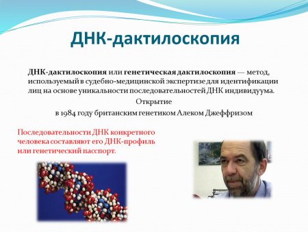 ДНК дактилоскопия