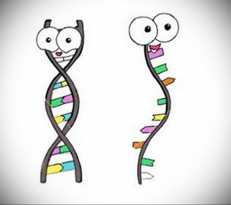 ДНК В виде веселого человечка